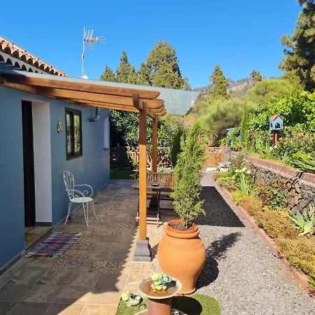 Puntagorda Casa Rosales With Pool & Wifiヴィラ エクステリア 写真
