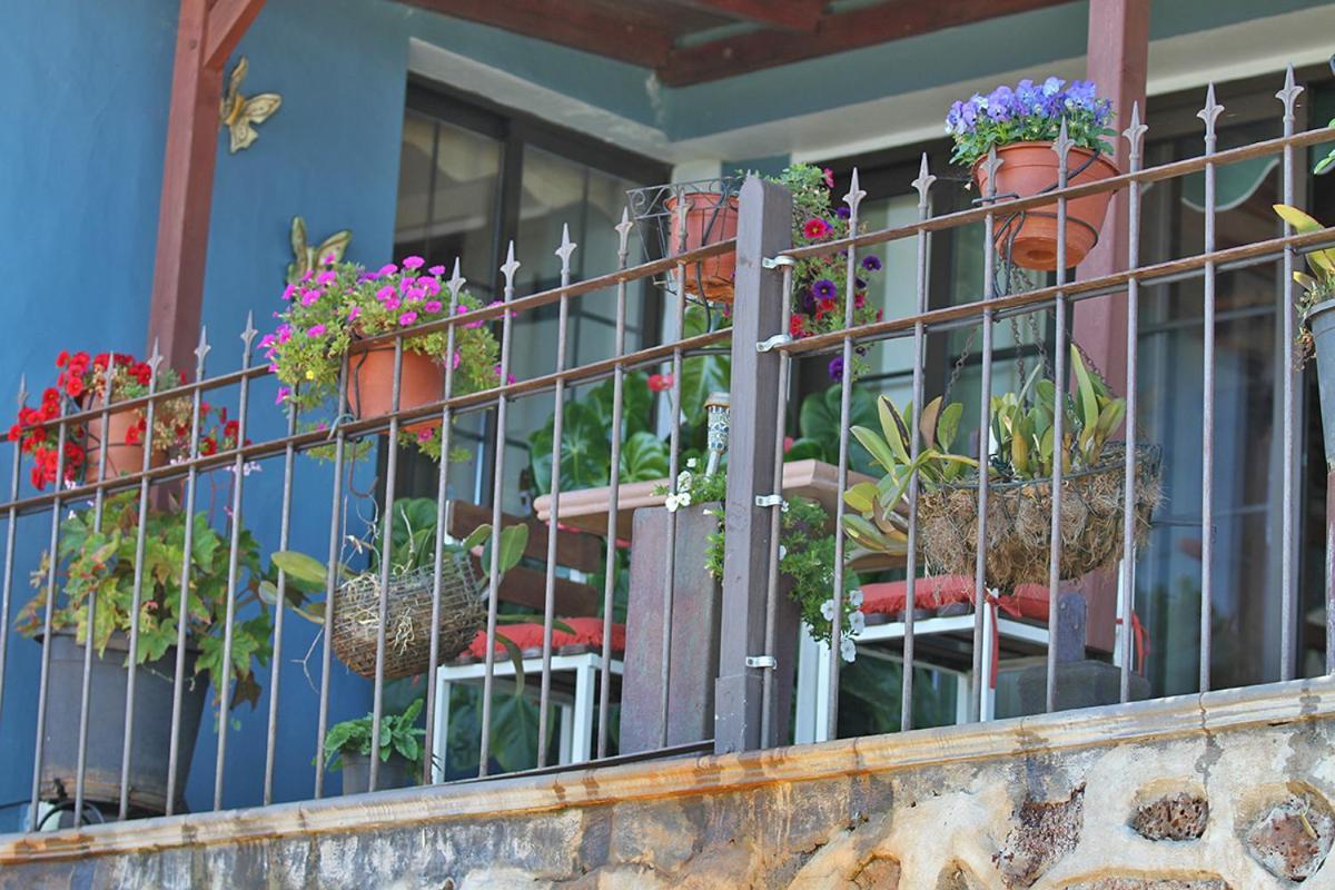 Puntagorda Casa Rosales With Pool & Wifiヴィラ エクステリア 写真